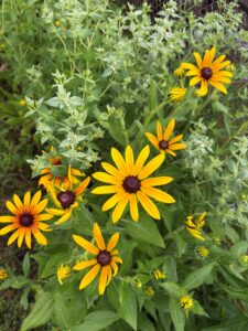IMG_1719 IMG_1719